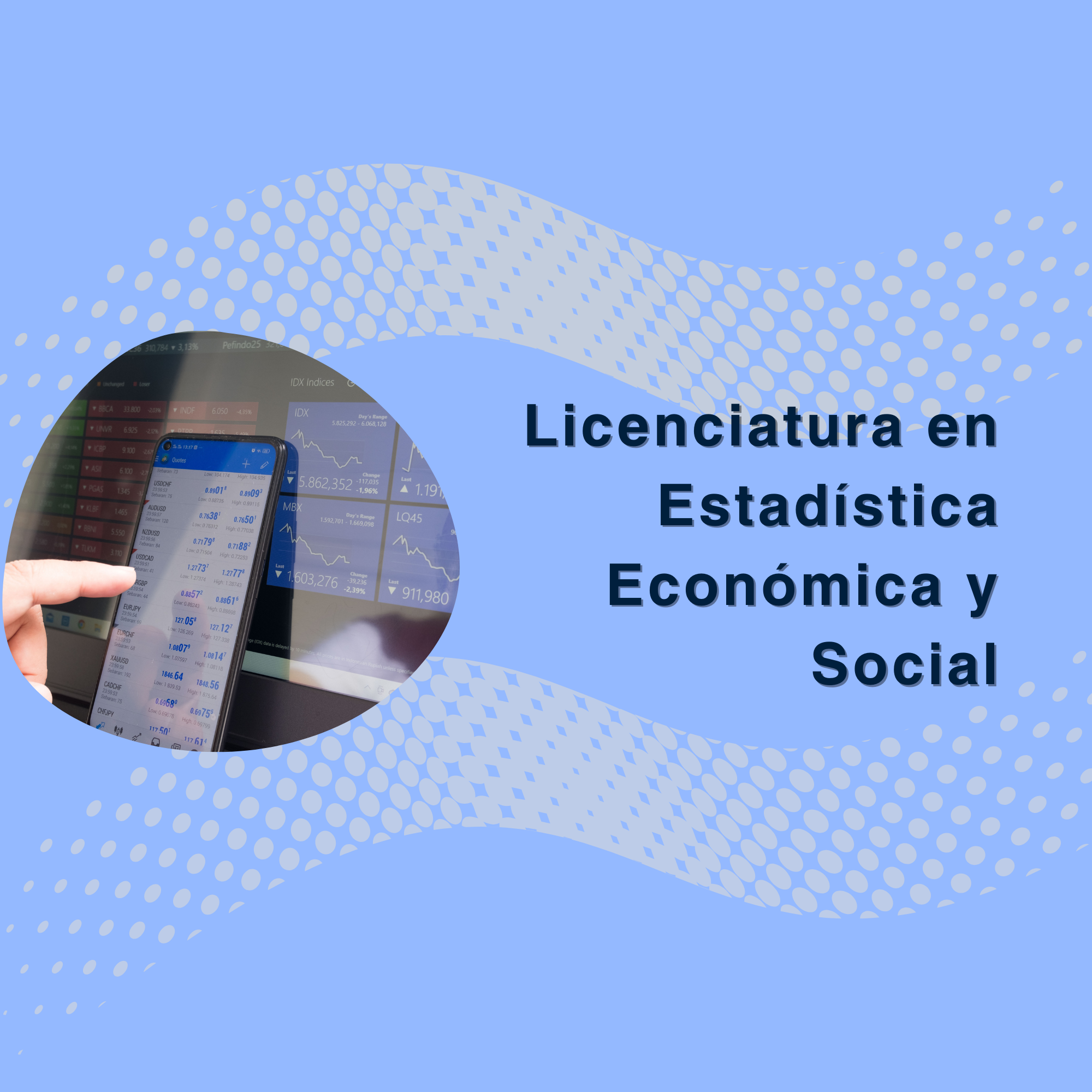 Licenciatura en Estadística Económica y Social