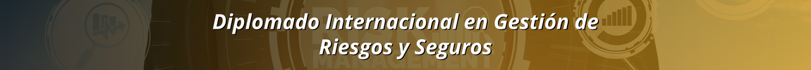 Diplomado Internacional en Gestión de Riesgos y Seguros
