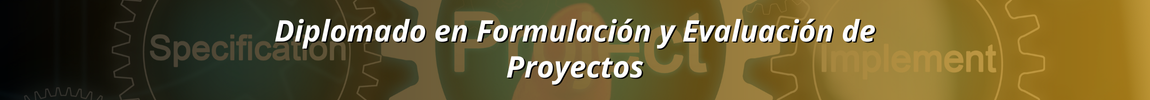 Diplomado de Formulación y Evaluación de Proyecto