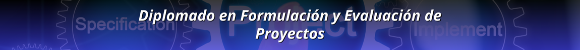 Diplomado en Formulación y Evaluación de Proyecto