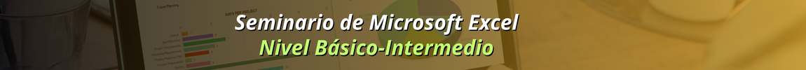 Seminario de Microsoft Excel Nivel Básico e Intermedio