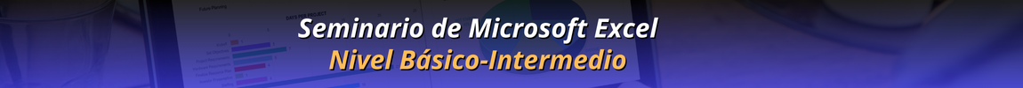 Seminario de Microsoft Excel Nivel Básico e Intermedio