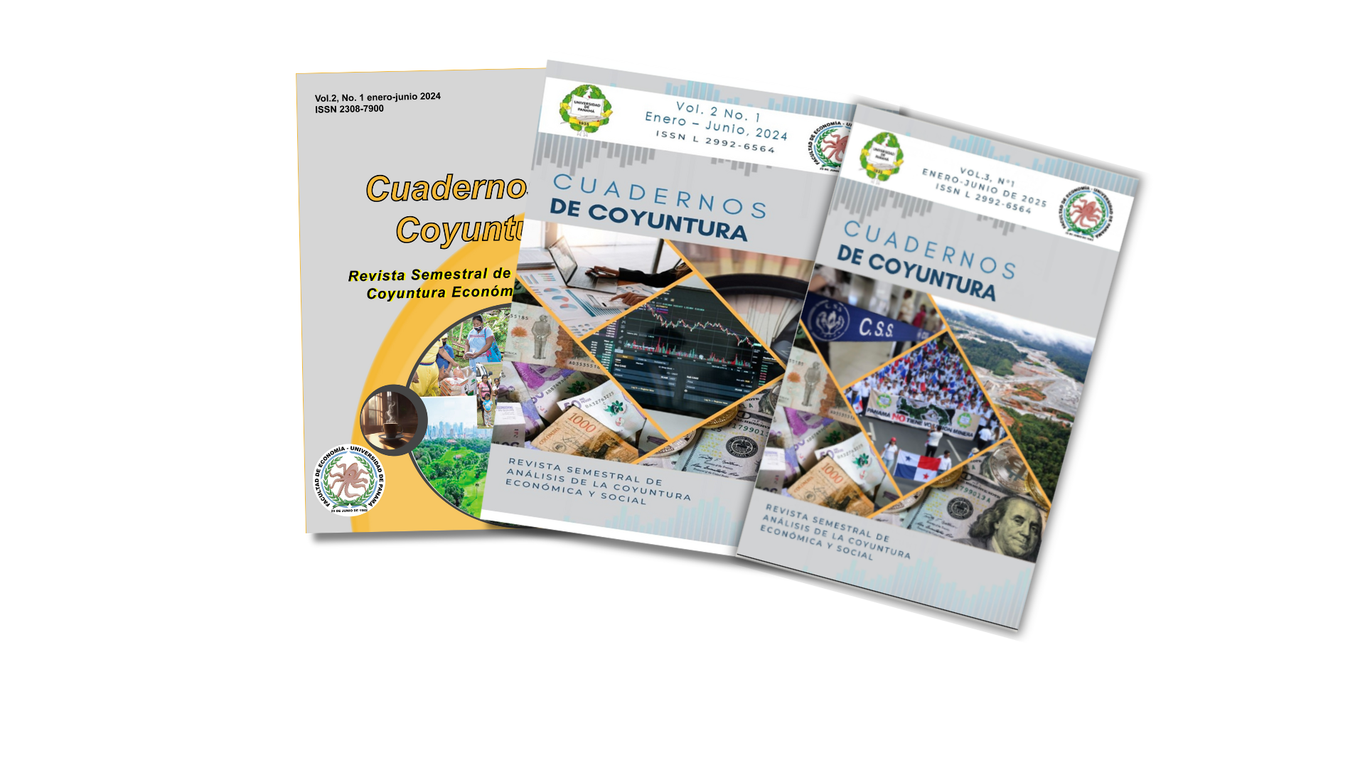 Cuadernos de Coyuntura